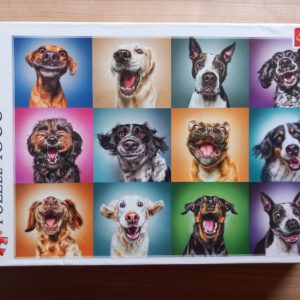 Funny Dog Portraits