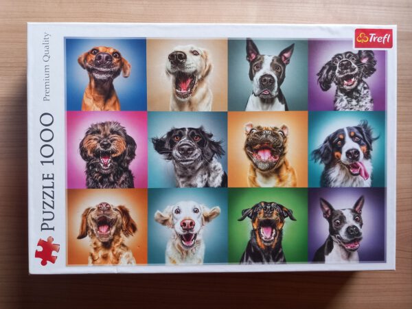 Funny Dog Portraits