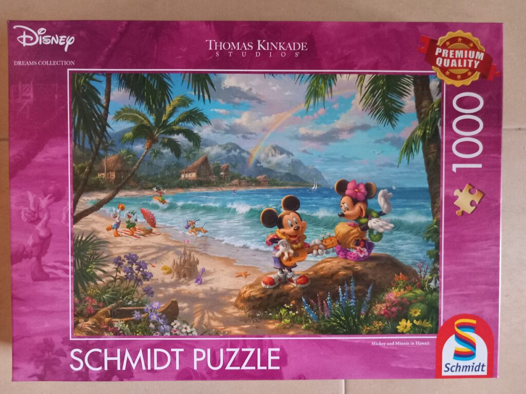 Minnie and Mickey in Hawaii