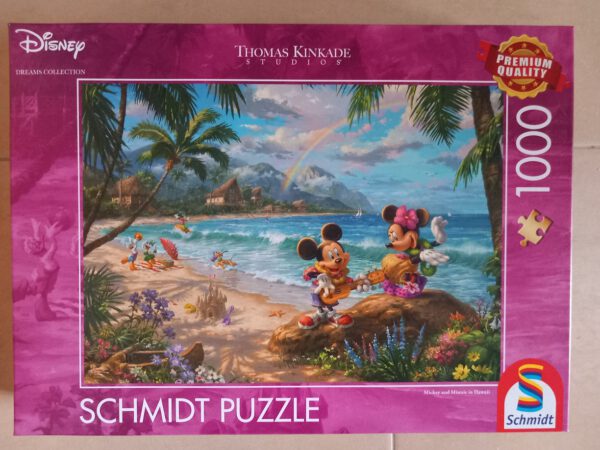 Minnie and Mickey in Hawaii