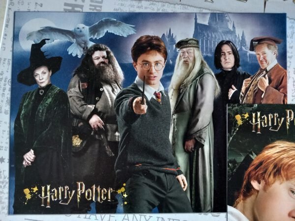 Harry Potter "Wizarding World 500 / 1"