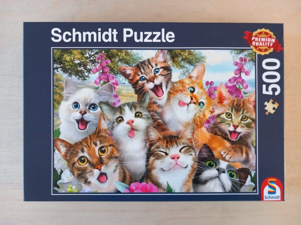 Katzen-Selfie